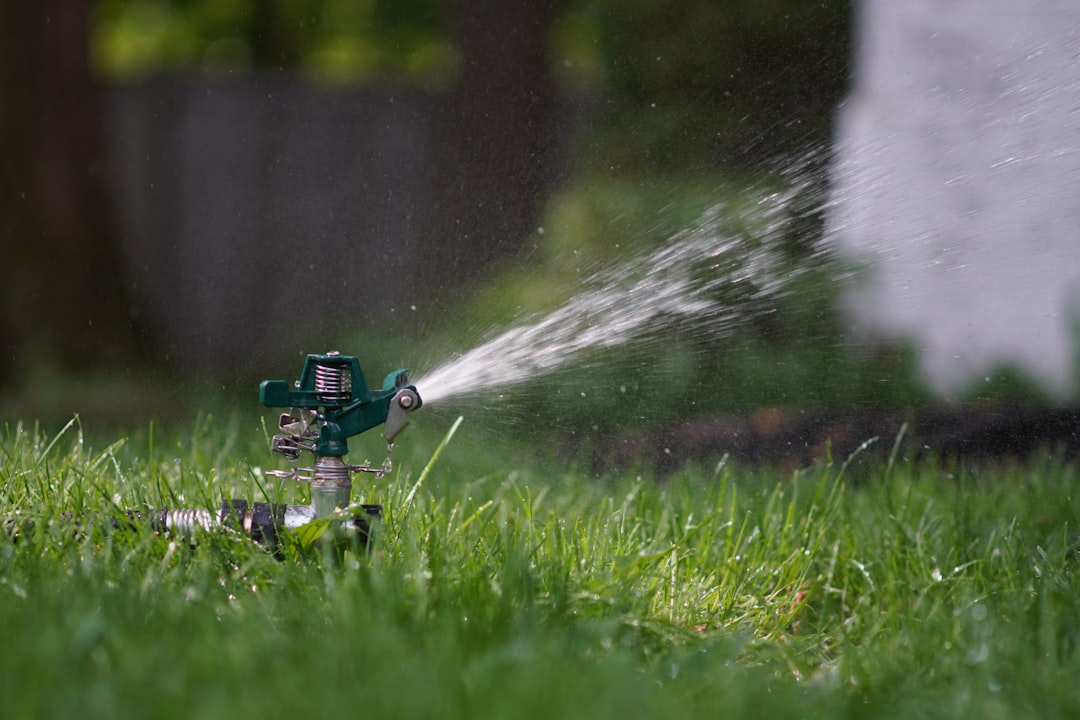 Impact sprinkler helping the spring lawn develop.