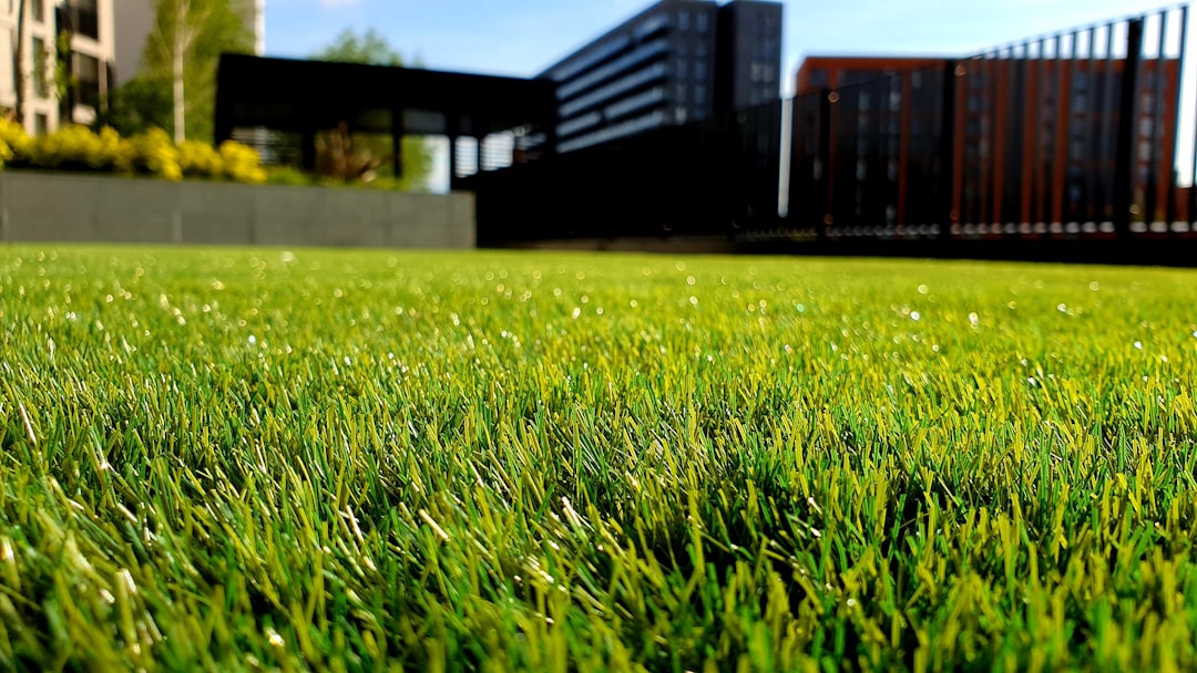 green-grass-field-c-5-qe5kbyk